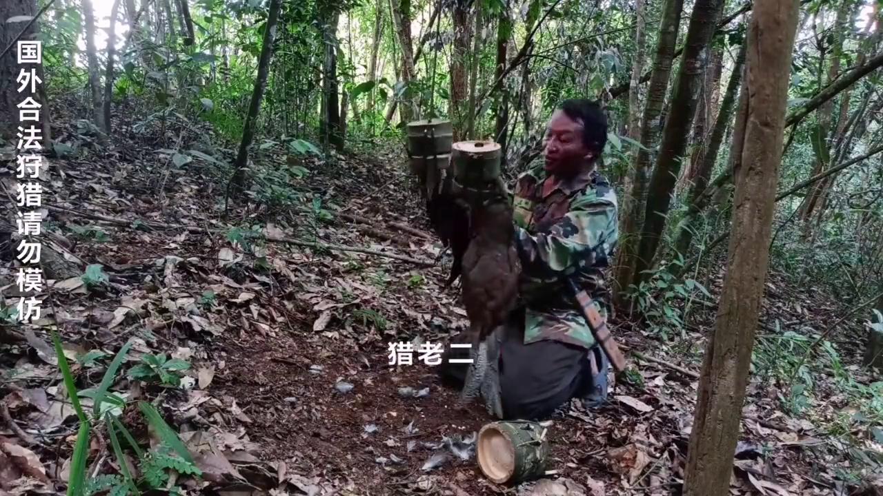 户外捕猎陷阱,老炮玩密室