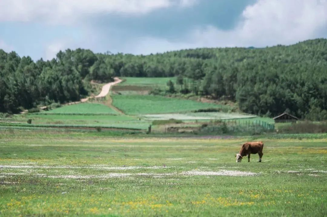 丽江旅行结束出发香格里拉,丽江自驾露营免费景点推荐