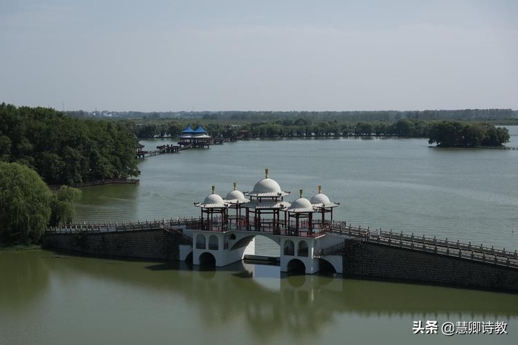 四年级下册语文习作我的乐园范文,四年级下册我的奇思妙想习作范文