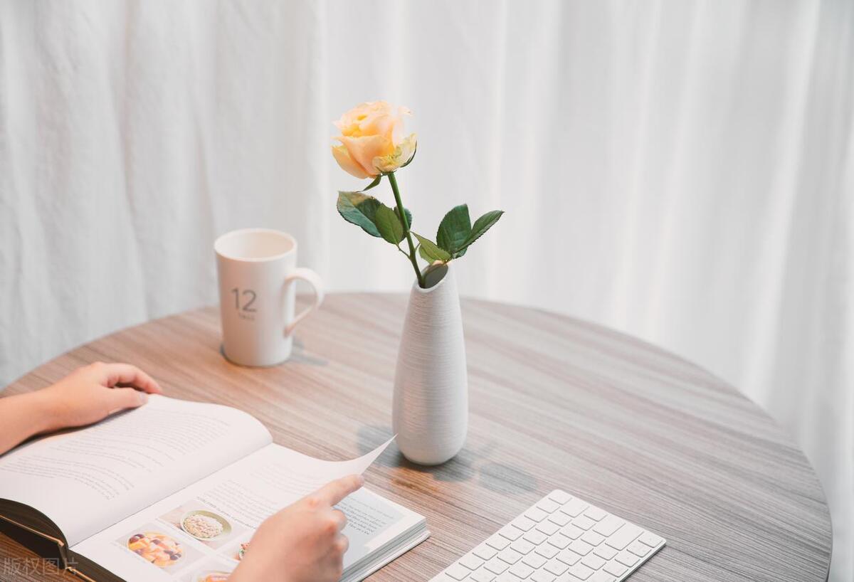 百叶窗和布艺窗帘哪个更省钱,装修风格篇全屋窗帘怎么选