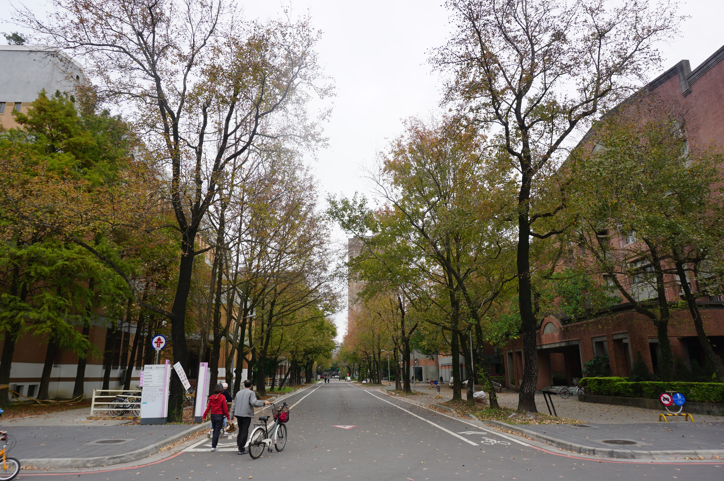 台湾自由行2023,台湾自由行什么时候开放