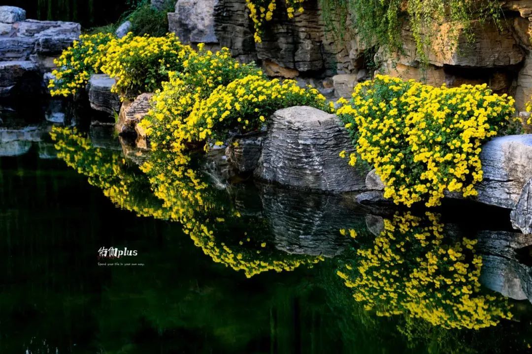 济南赏秋,秋天济南去哪里赏秋最好