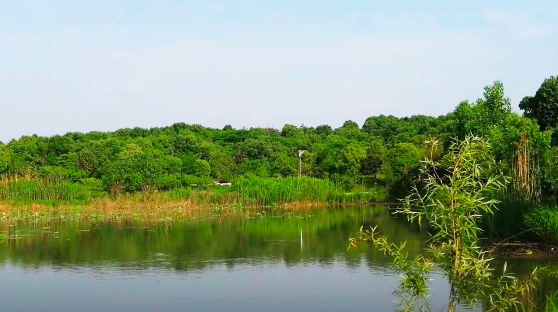 武汉东湖湖心岛,武汉最美山间民宿
