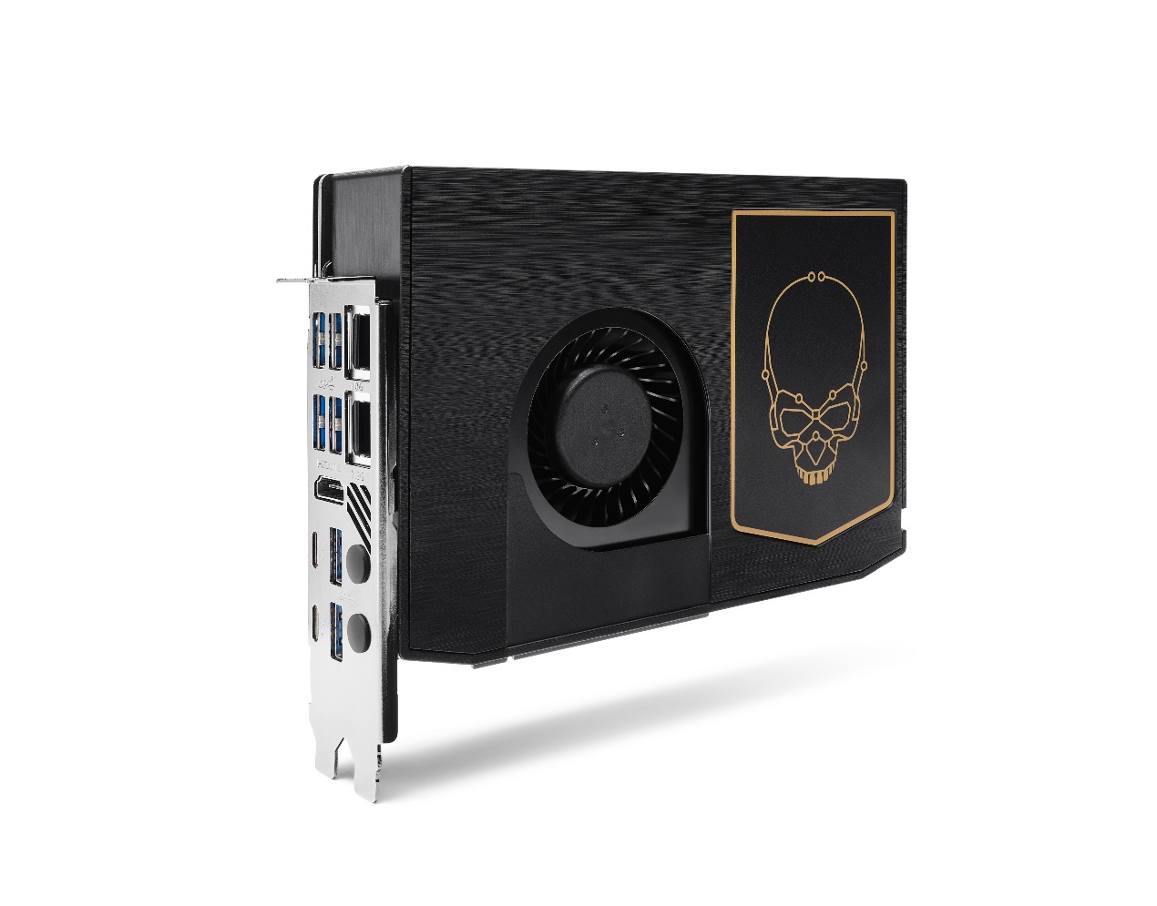 从野兽开始无限升级进化,从野兽开始升级