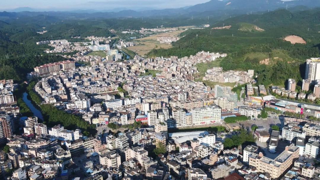 广宁支柱产业,一线直击纪录片