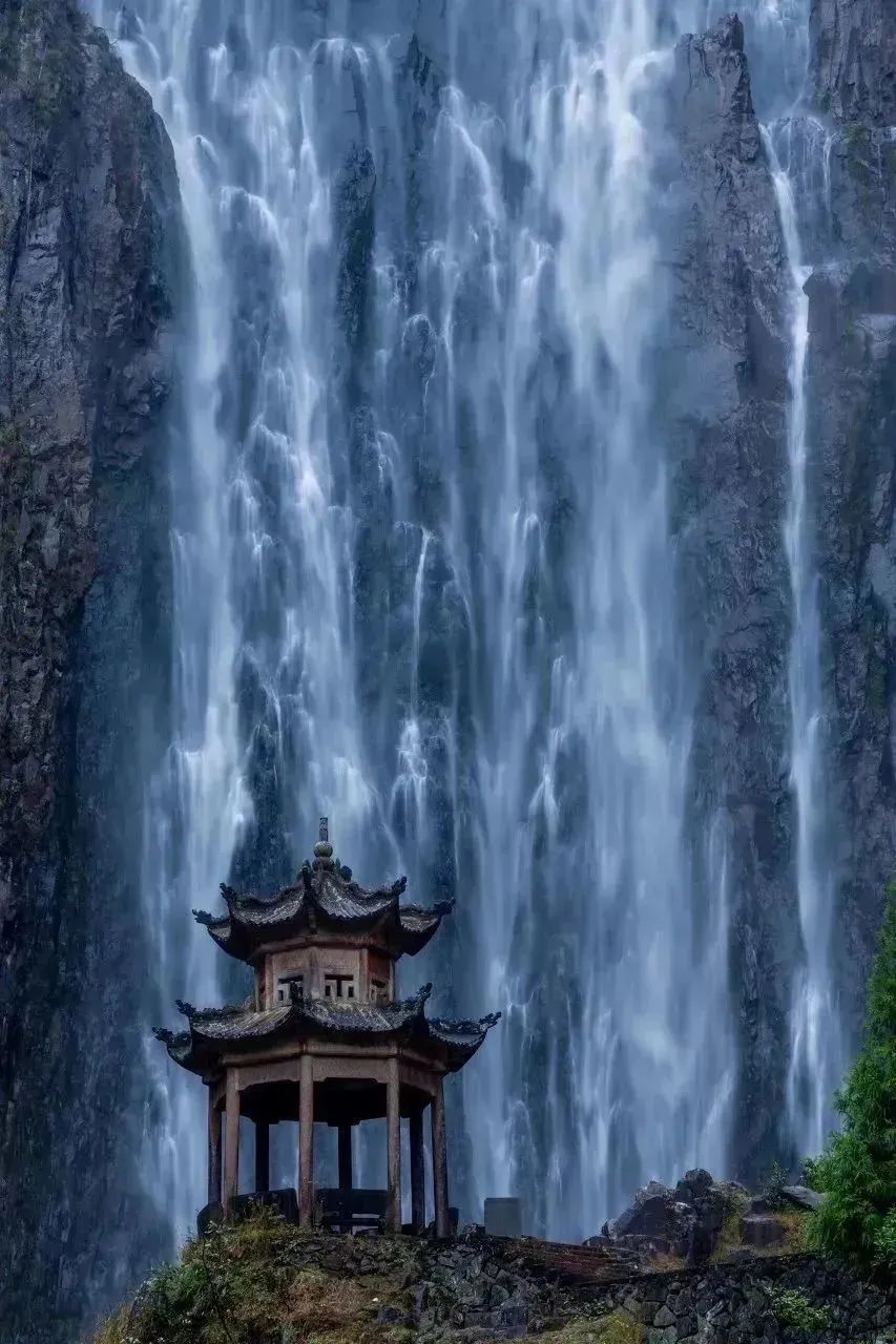 带你们体验摘杨梅的乐趣,酸酸甜甜的杨梅有谁陪我一起采摘