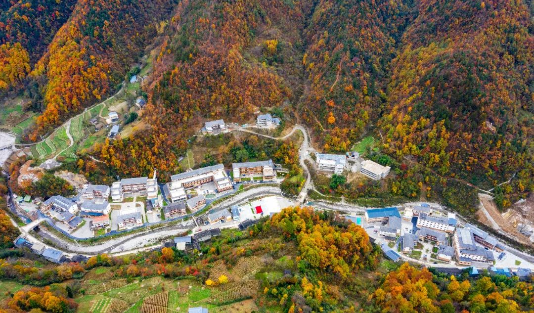 重庆乡村振兴示范村名单,重庆乡村一日游哪些地方好耍