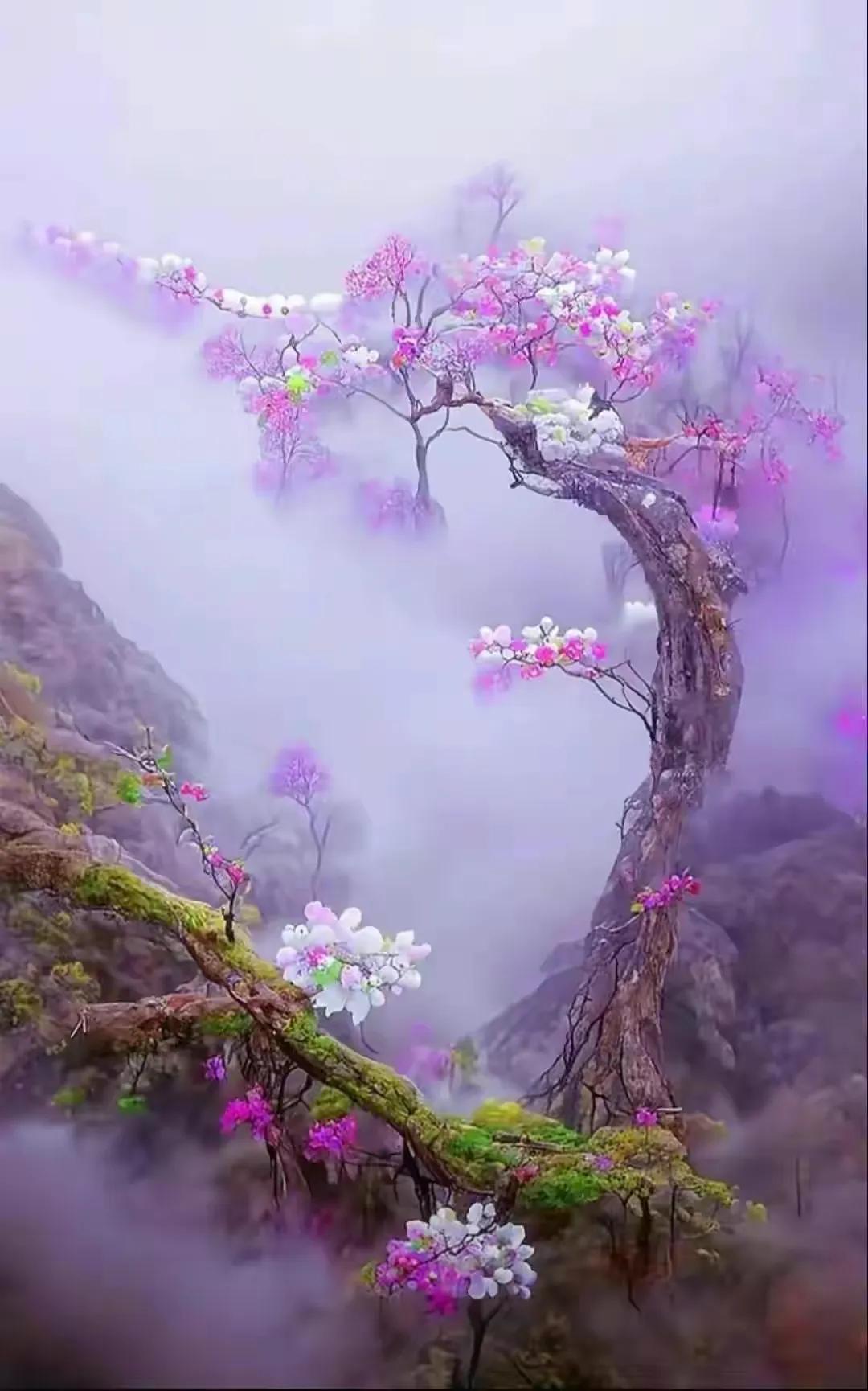 为什么都喜欢跟有钱人玩,有钱人是不是都喜欢玩