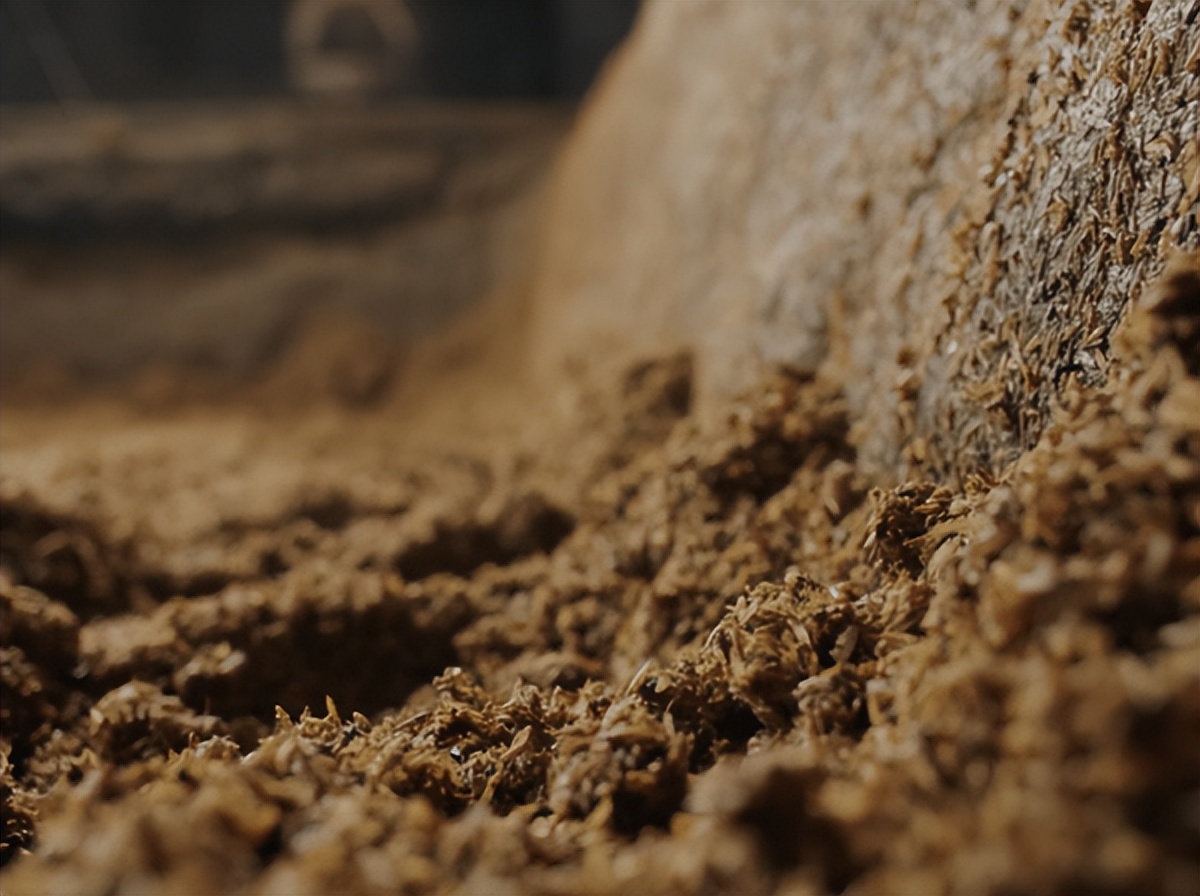 微生物菌群最新研究进展,一号菌群科研新成果