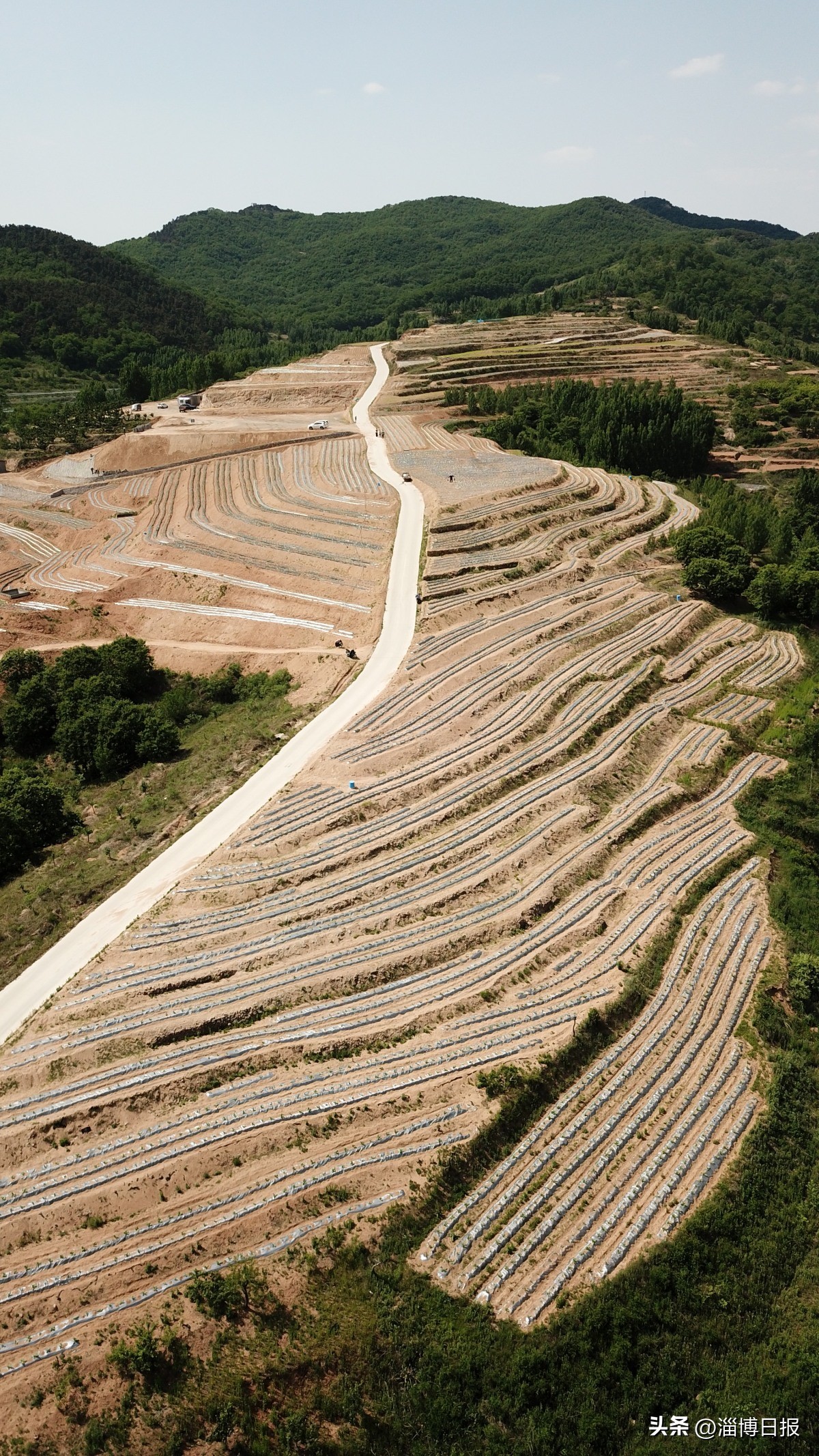 记者观察|合伙人思维为乡村“招贤纳士”！沂源县南鲁山镇创新做法破解乡村振兴发展困局
