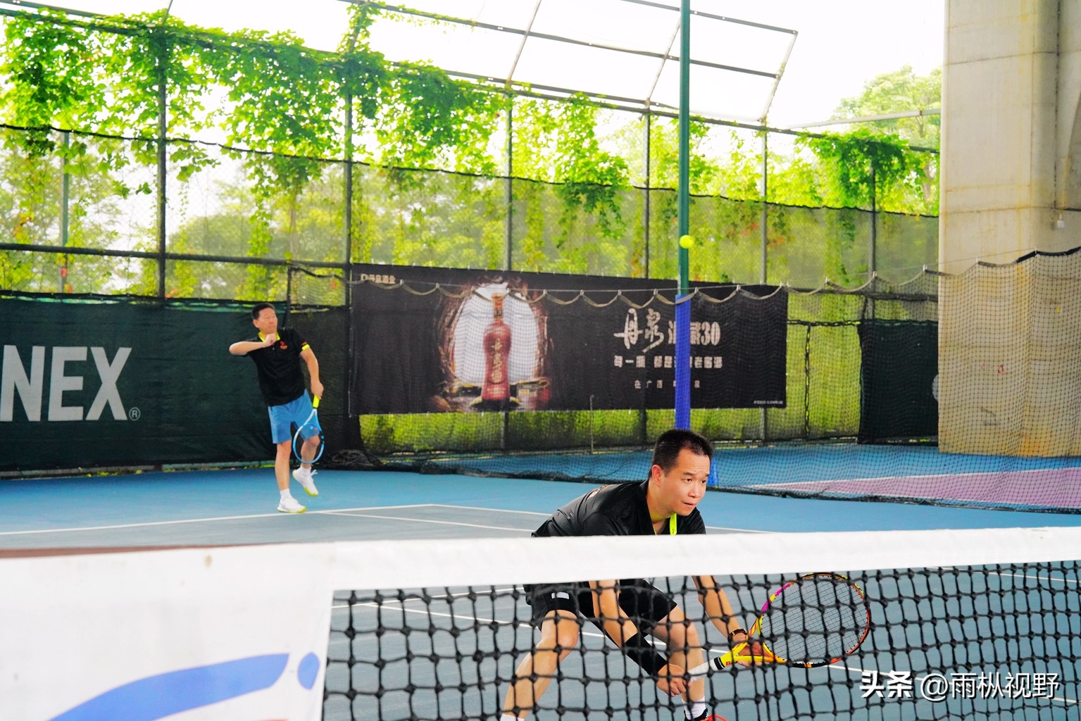 2024全国网球团体锦标赛云南队,2024广西业余网球公开赛