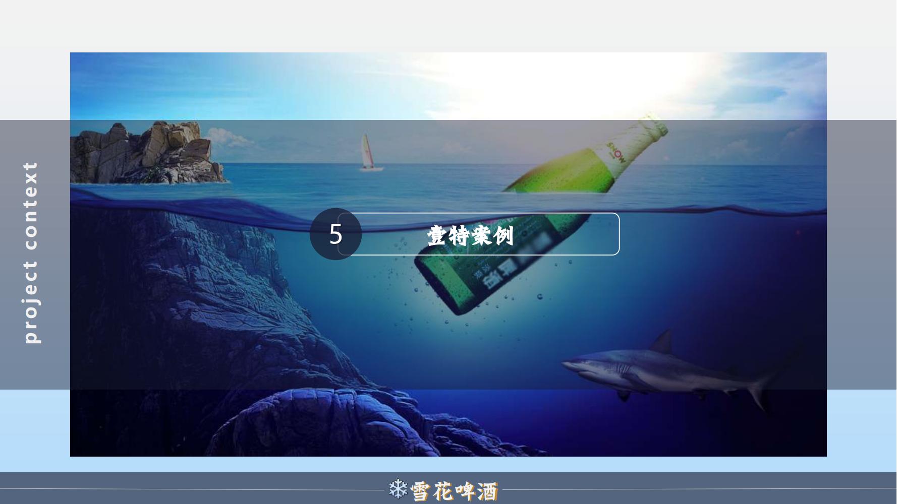 雪花啤酒品牌策划方案范文ppt,品牌啤酒的营销策划书