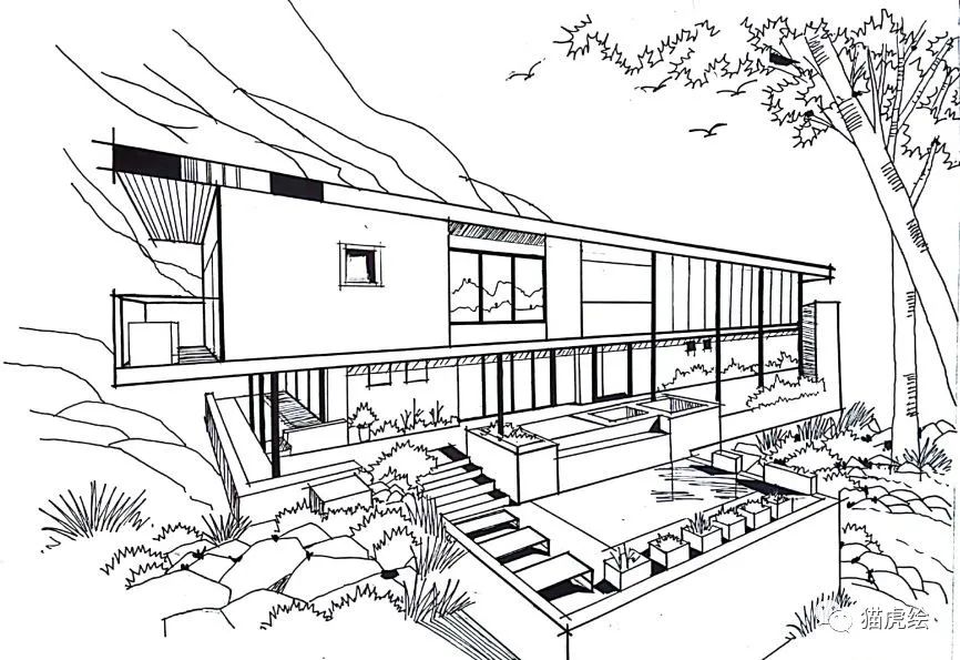 2022猫虎绘暑假手绘班招生简章「线上+线下」