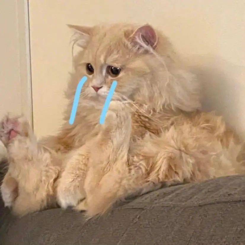 卡塔尔世界杯投入2000亿谁赚了,卡塔尔为世界杯花费多少钱