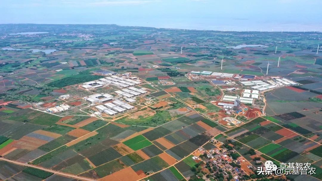 现代化养猪饲养过程,现代化养猪场管理方法