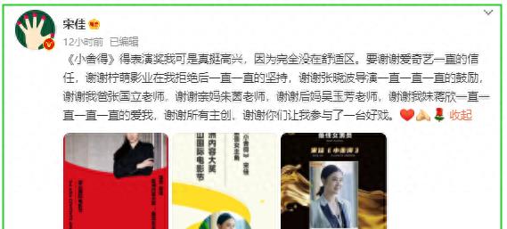 小宋佳感情,宋佳的情感生活