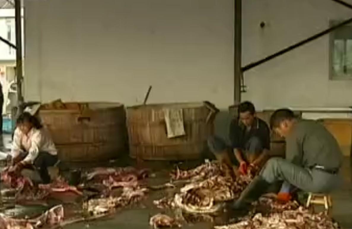 中国“鲨鱼村”的聪明商人：加工迷你“小鲨鱼”，年入3000万