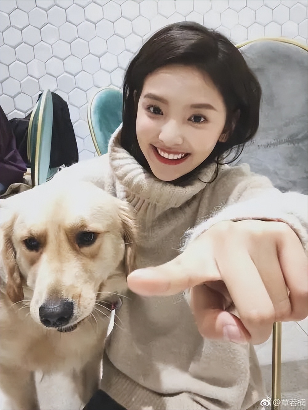 娱乐圈的白月光们有哪些共同点,娱乐圈白月光有哪些