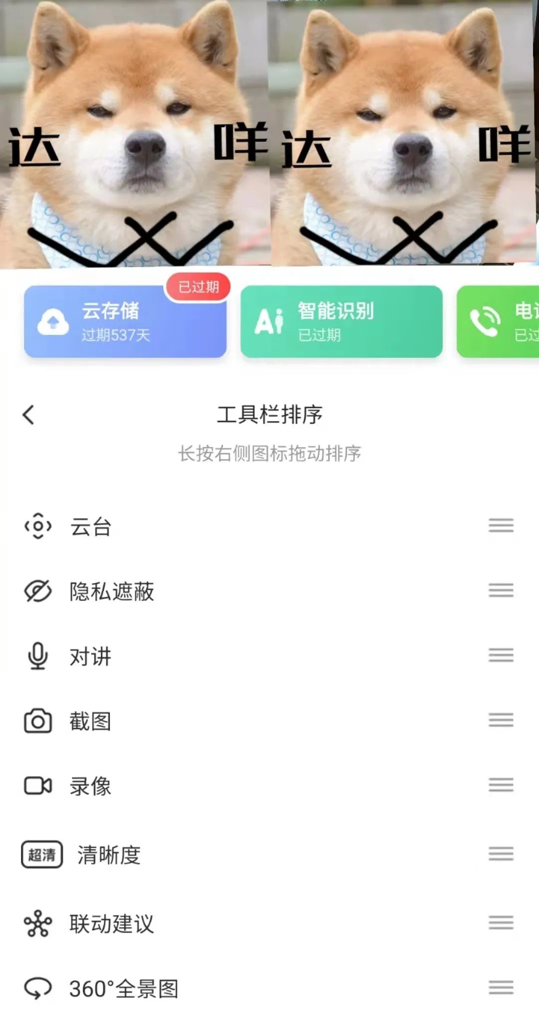 主人被隔离宠物怎么办,主人确诊了猫狗怎么办