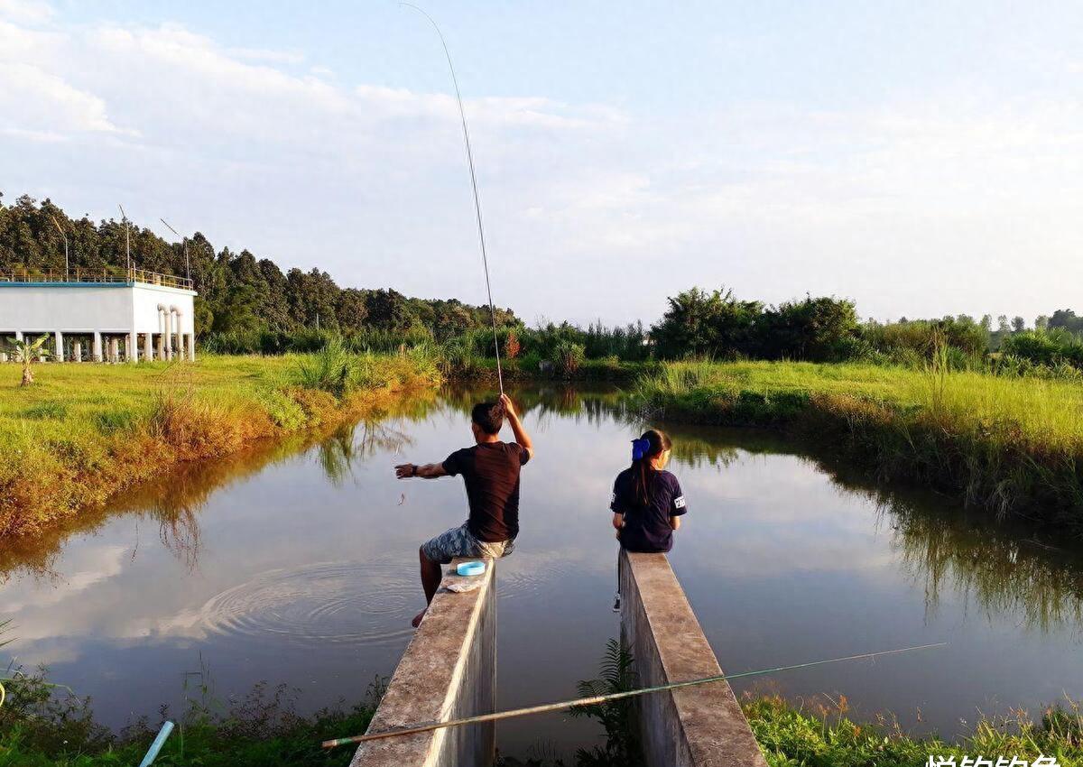 水库钓鱼需要什么做饵,水库钓鱼有什么讲究吗