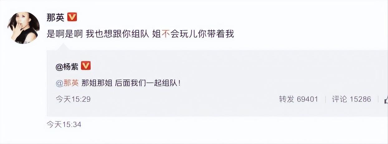 杨紫成顶流女星,杨紫算顶流艺人