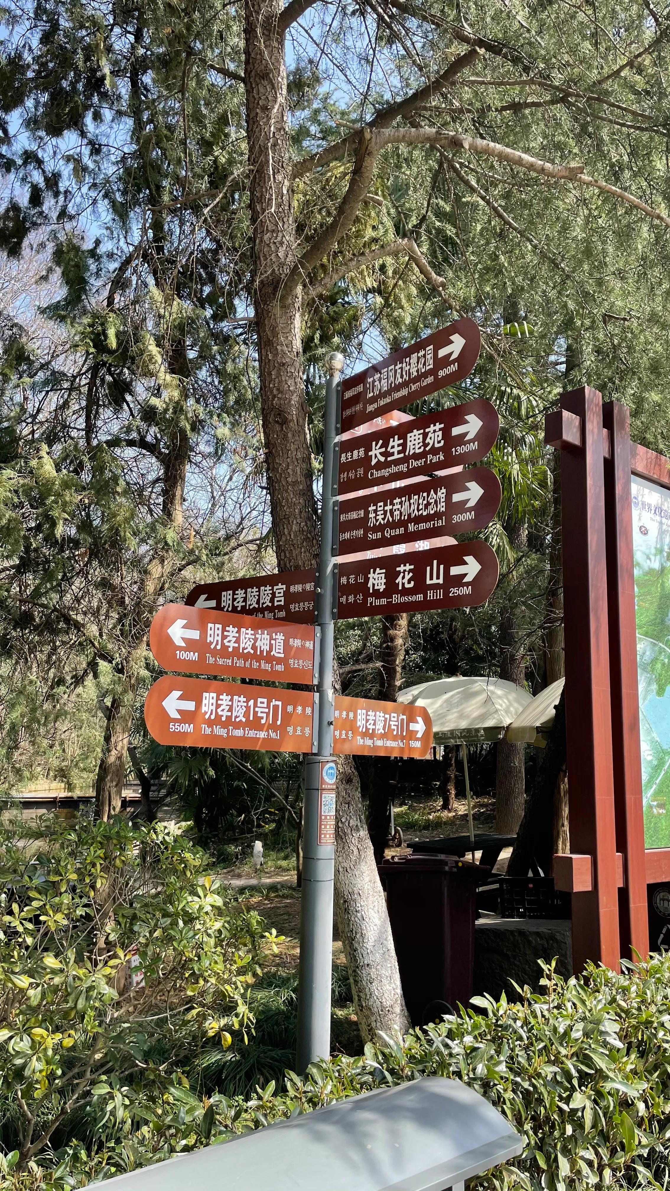 开着沪牌回老家怎么样,开着大巴玩转江浙沪