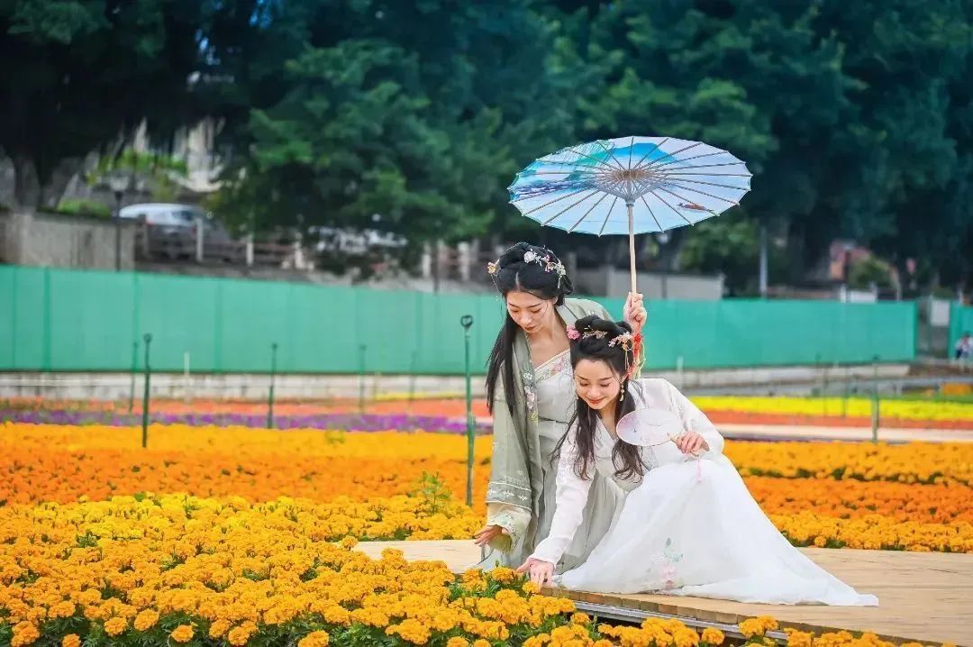 徒步大会、烟花秀、三转文塔…三水区闹元宵活动攻略→