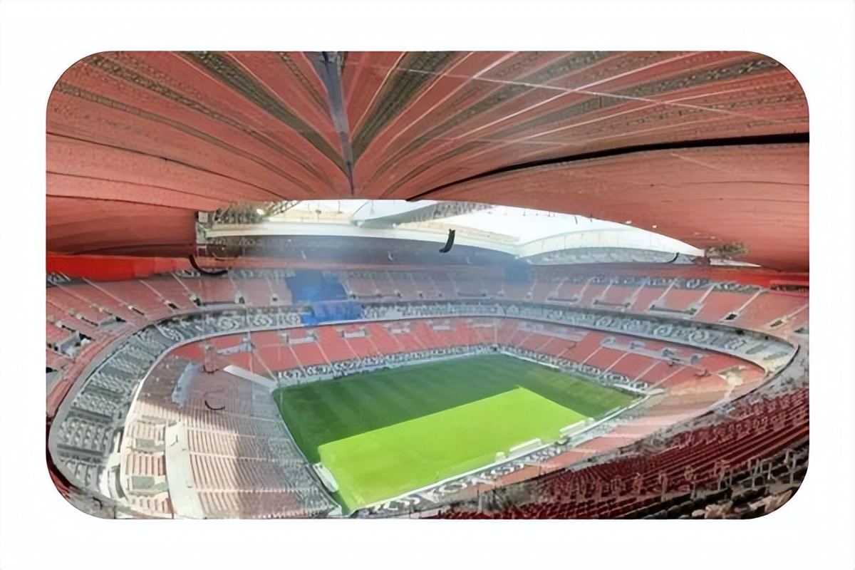 卡塔尔世界杯巡礼塞尔维亚,卡塔尔世界杯巡礼韩国