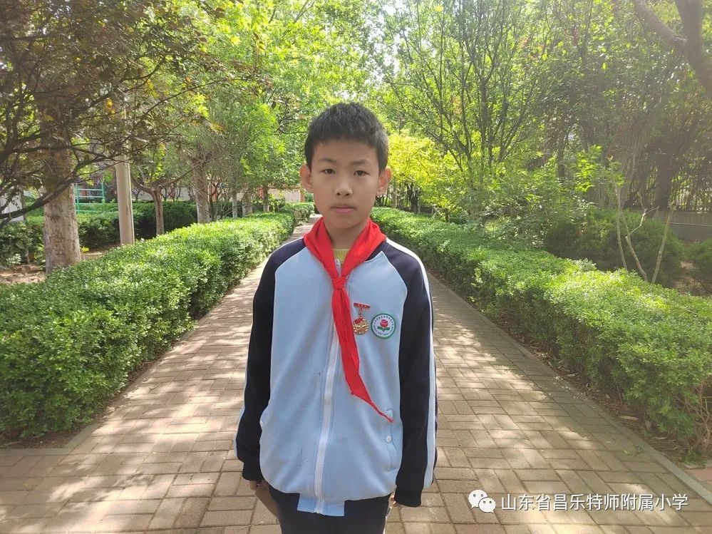 红领巾奖章三星奖章个人风采介绍,红领巾三星奖章队员事迹介绍