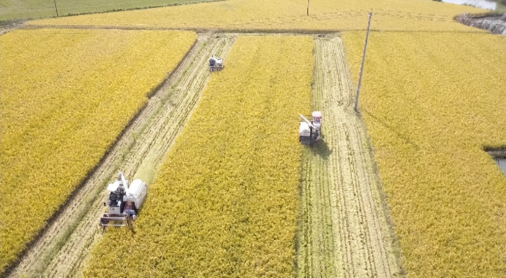 农田集约化管理,农田发展新模式