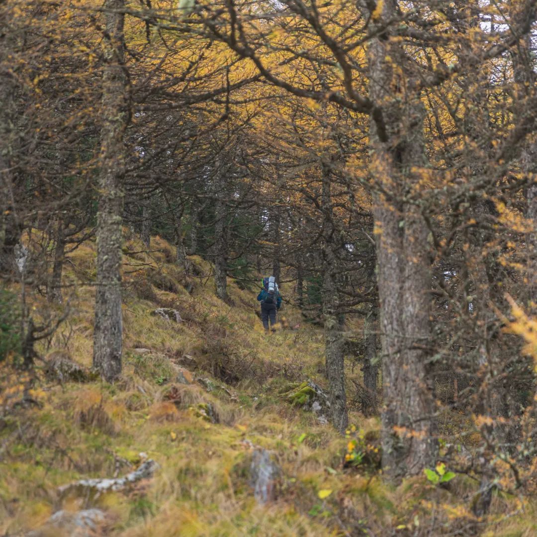 太白山是陕西最高点吗,秦岭最高峰太白山