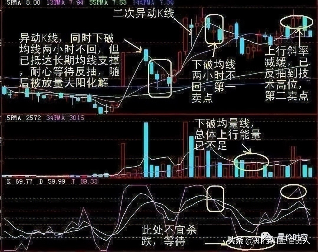 学到极致是什么意思,学到极致便是沧海一粟