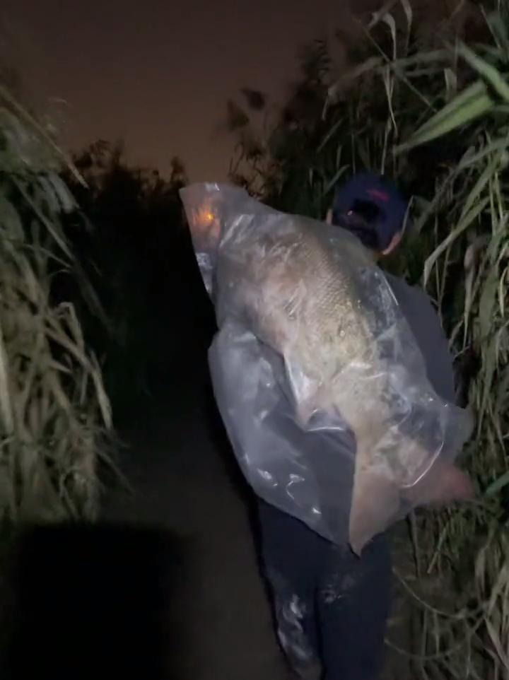 河里钓鱼鱼被咬了一半,钓鱼遇到被咬的鱼