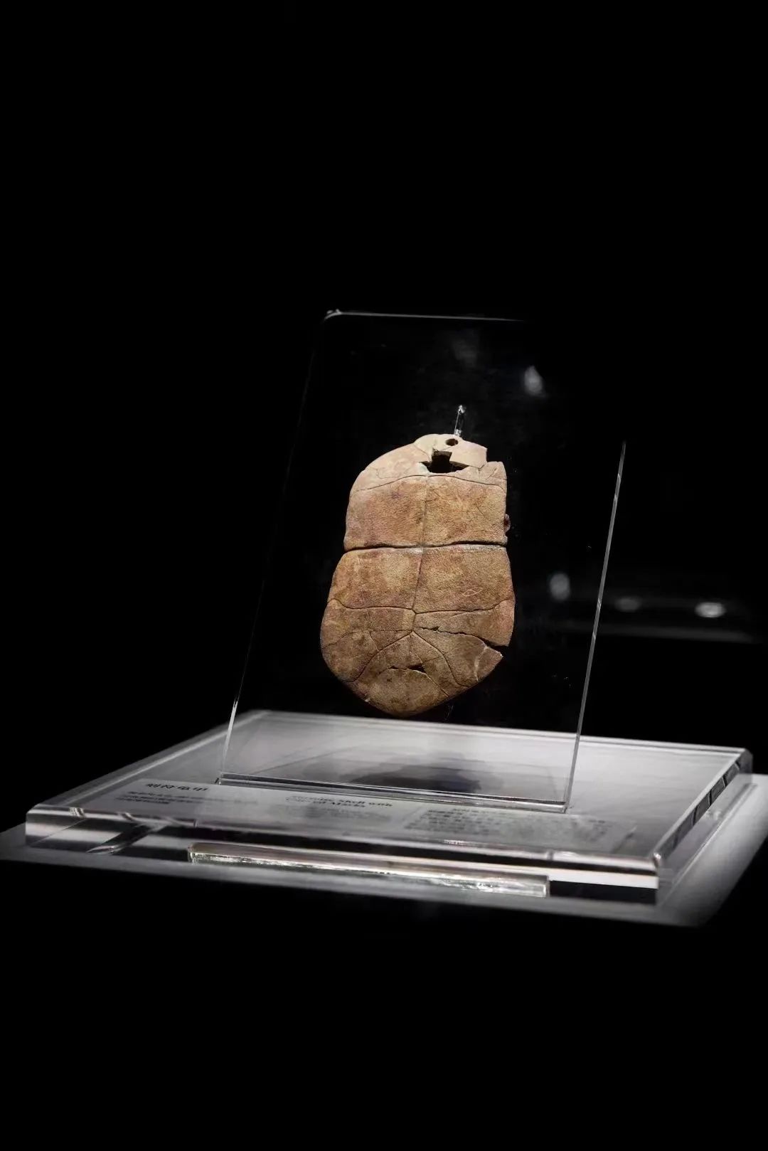 最详细成都旅游攻略,三天成都旅游全攻略