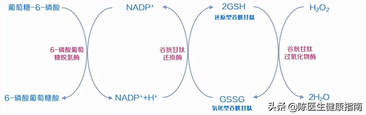 几毛钱的维生素b2治好病,几块钱一瓶的维生素b2