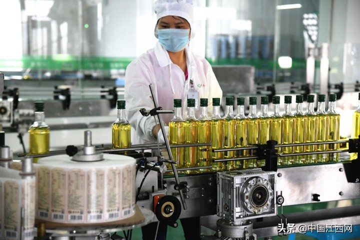 齐云山茶油和高正茶油哪个好,十年磨一剑高山云雾生态茶