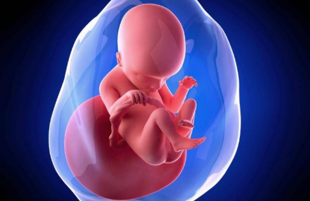 屁股小的女人是易孕体质么,屁股大的女生是不是易孕