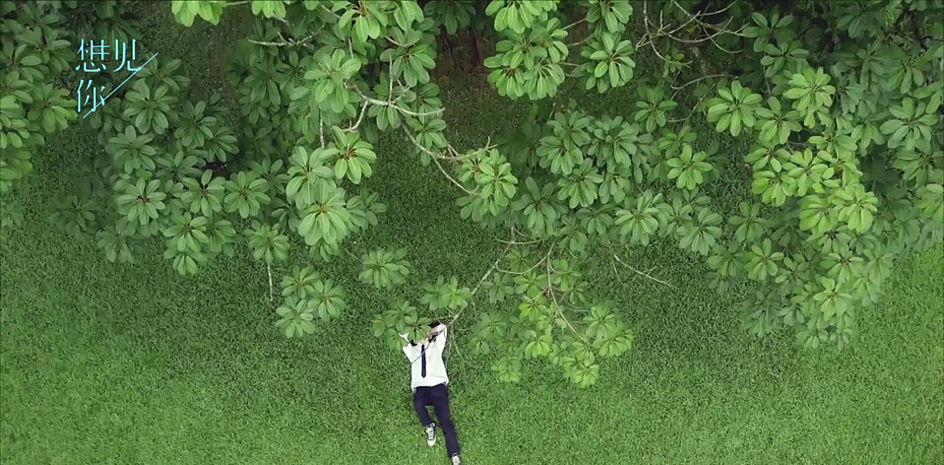 韩版想见你收视,韩版想见你被吐槽