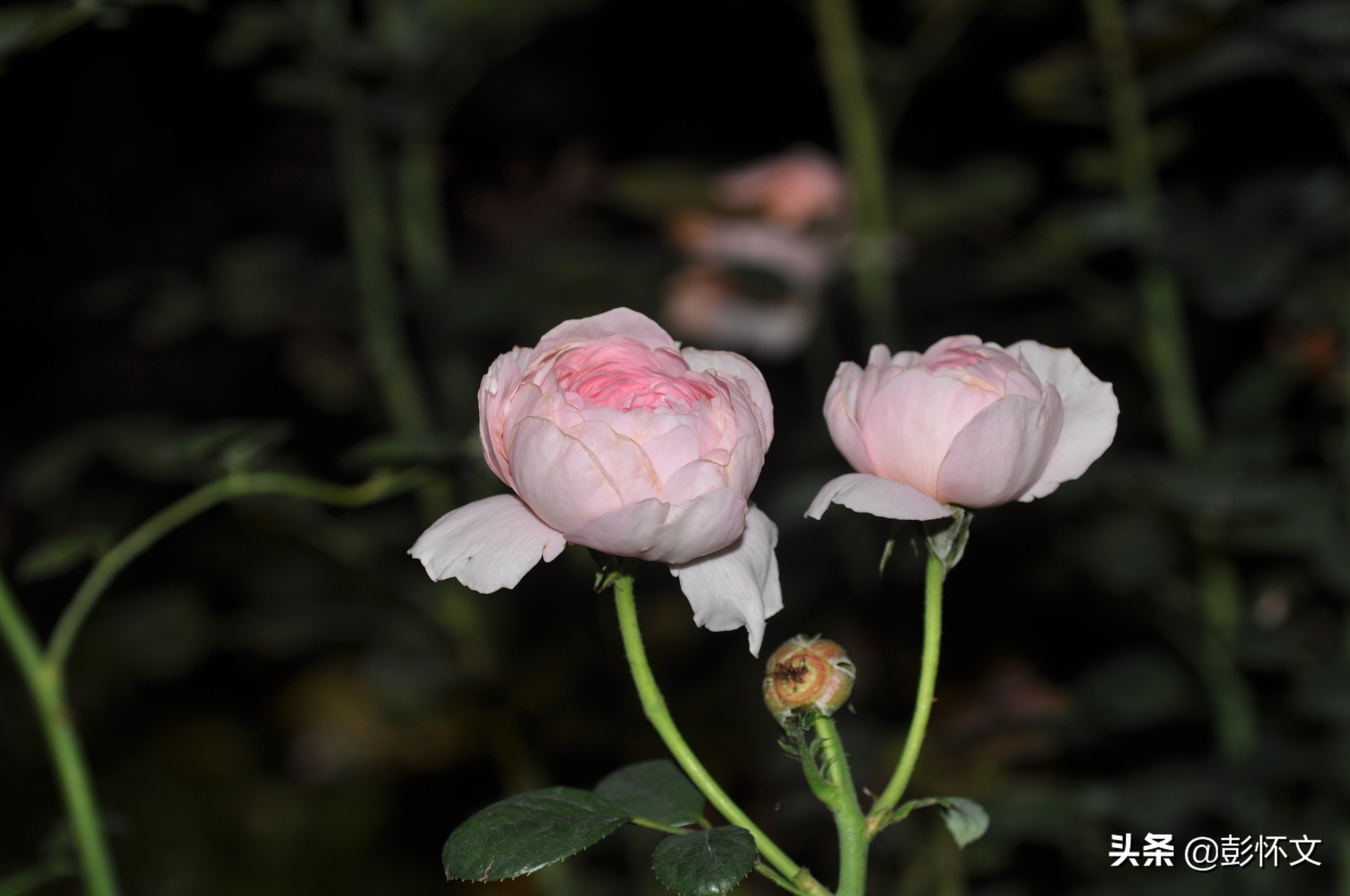 财税实务问题解答9则(2022年6月7日)