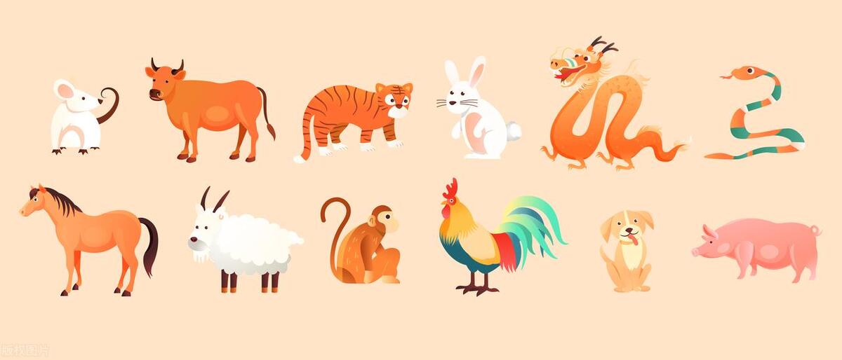 12生肖每个生肖的由来,什么是十二生肖怎么解释