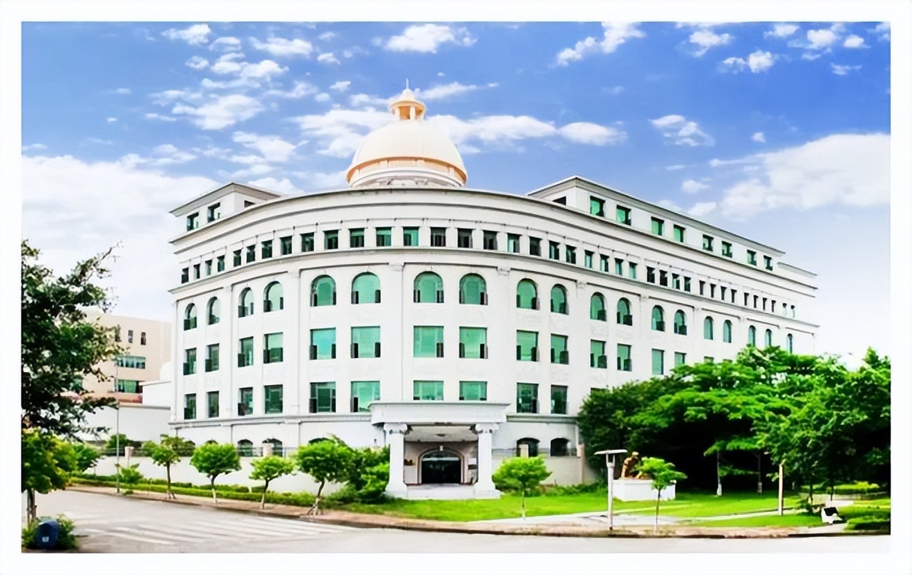 安记食品董事长林肖芳现状,林肖芳个人资料