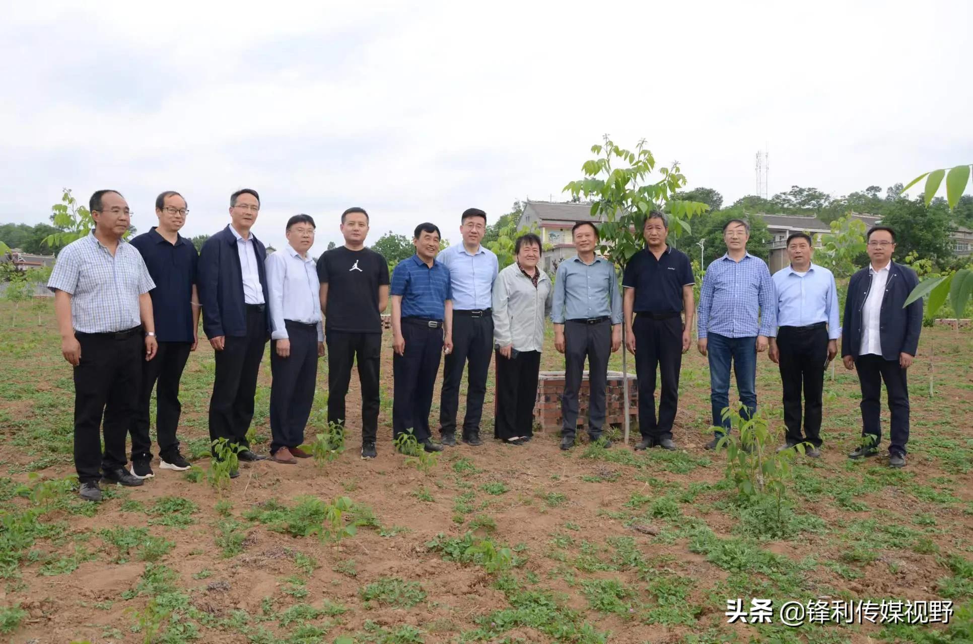 核桃产业调研计划,来我区调研核桃产业