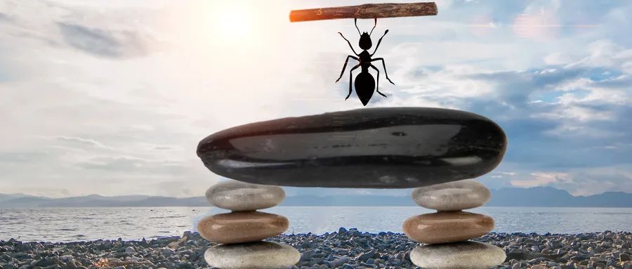 现在旅行社放开旅游了吗,旅行社优惠政策有哪些