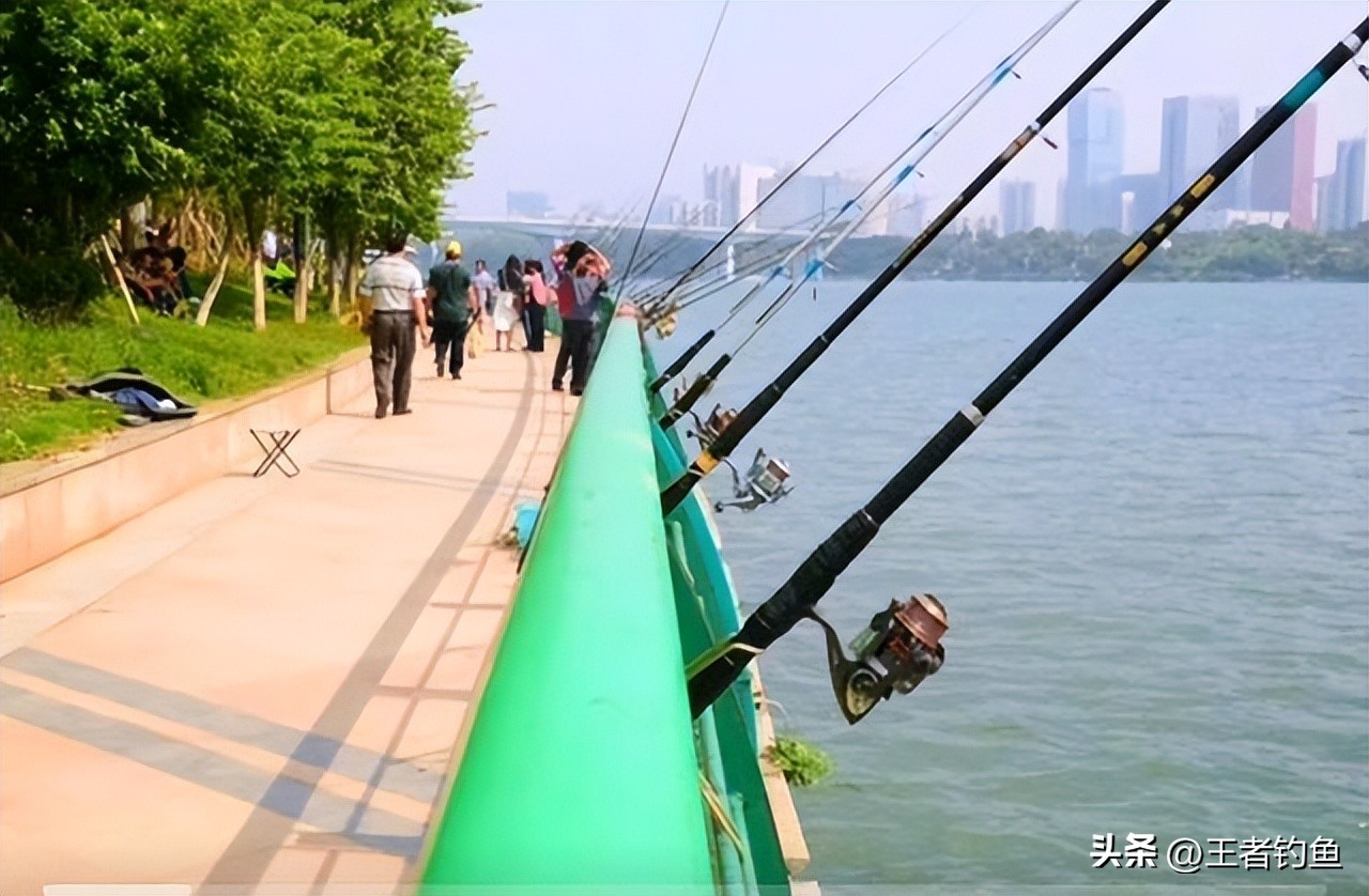 广西柳州野钓人,广西柳州钓鱼者