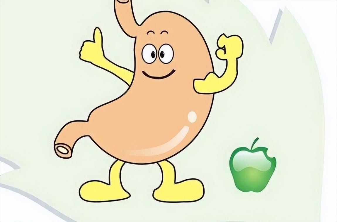 补脾先养胃,养胃先放屁什么意思