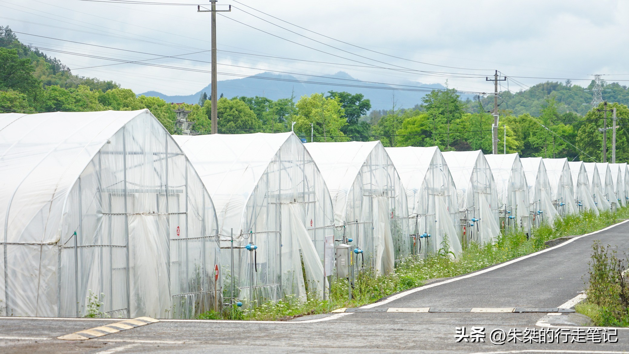 打卡中国草莓之乡,品尝金奖草莓,就在我国首个气候宜居城市