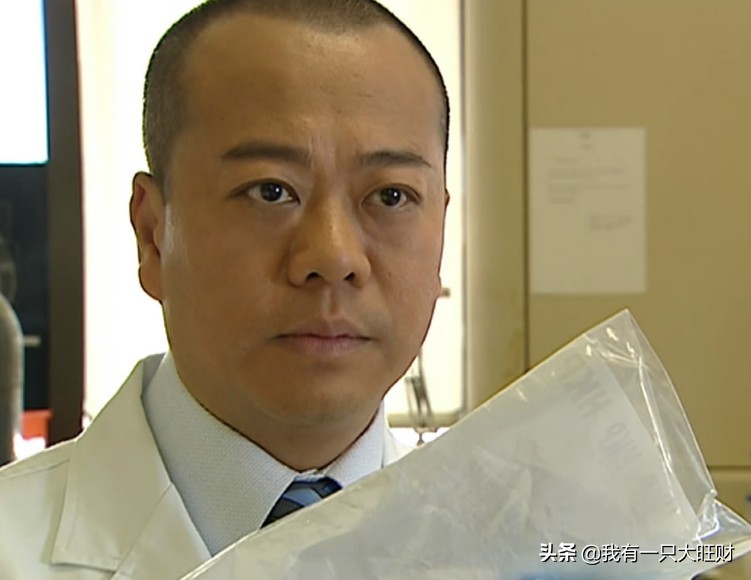 法证先锋1古泽琛和汀汀结婚,法证先锋古泽琛和汀汀