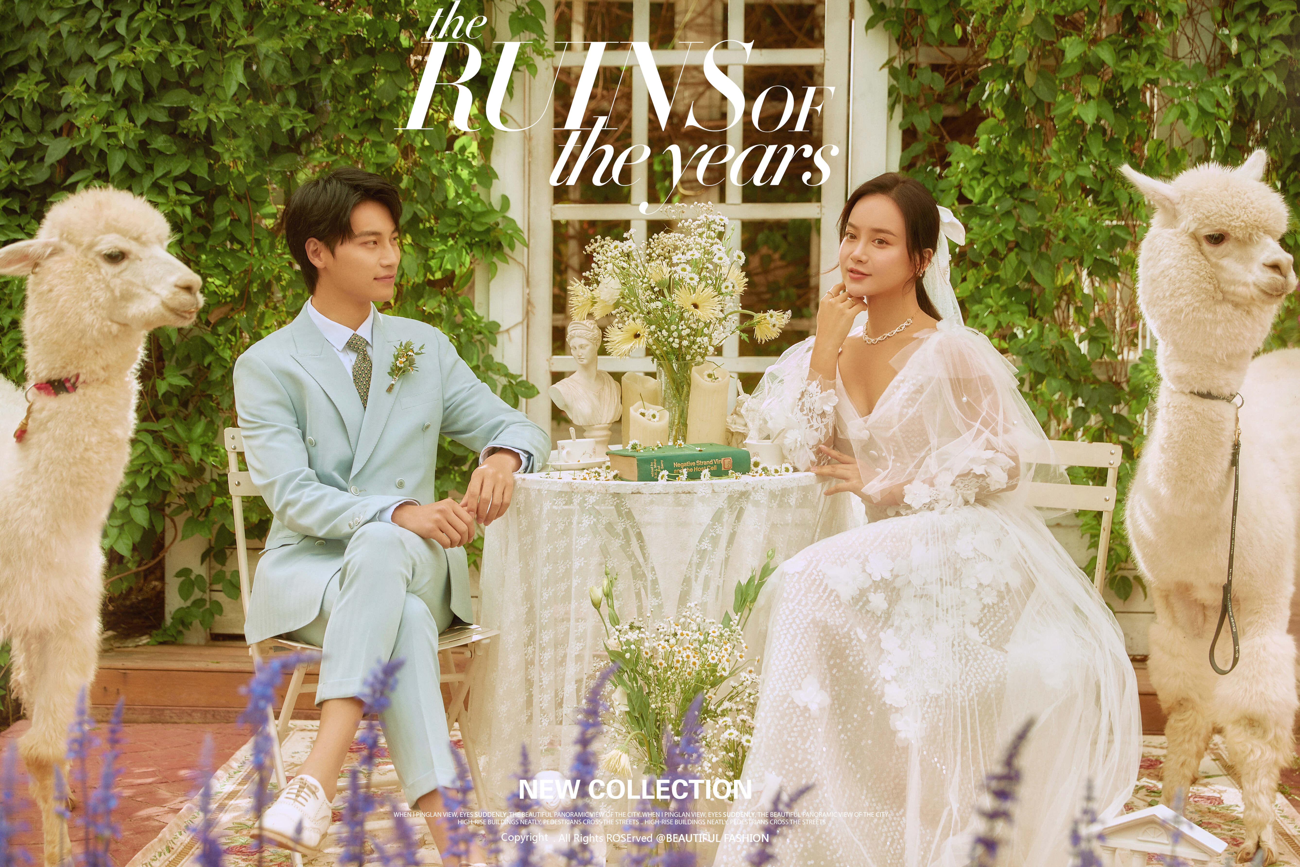 厦门婚纱照旅拍推荐哪家最好,厦门旅拍婚纱照推荐哪家好