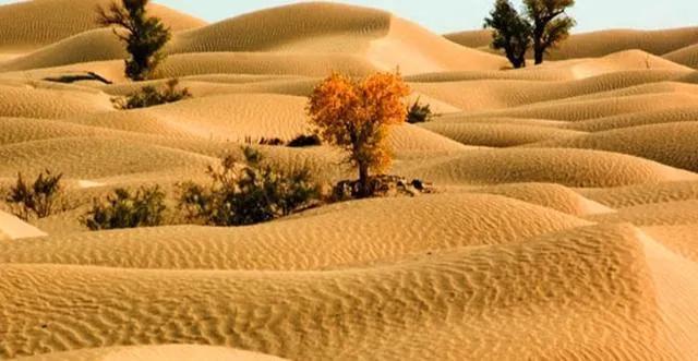 说说澳大利亚这个国家,澳大利亚的知识