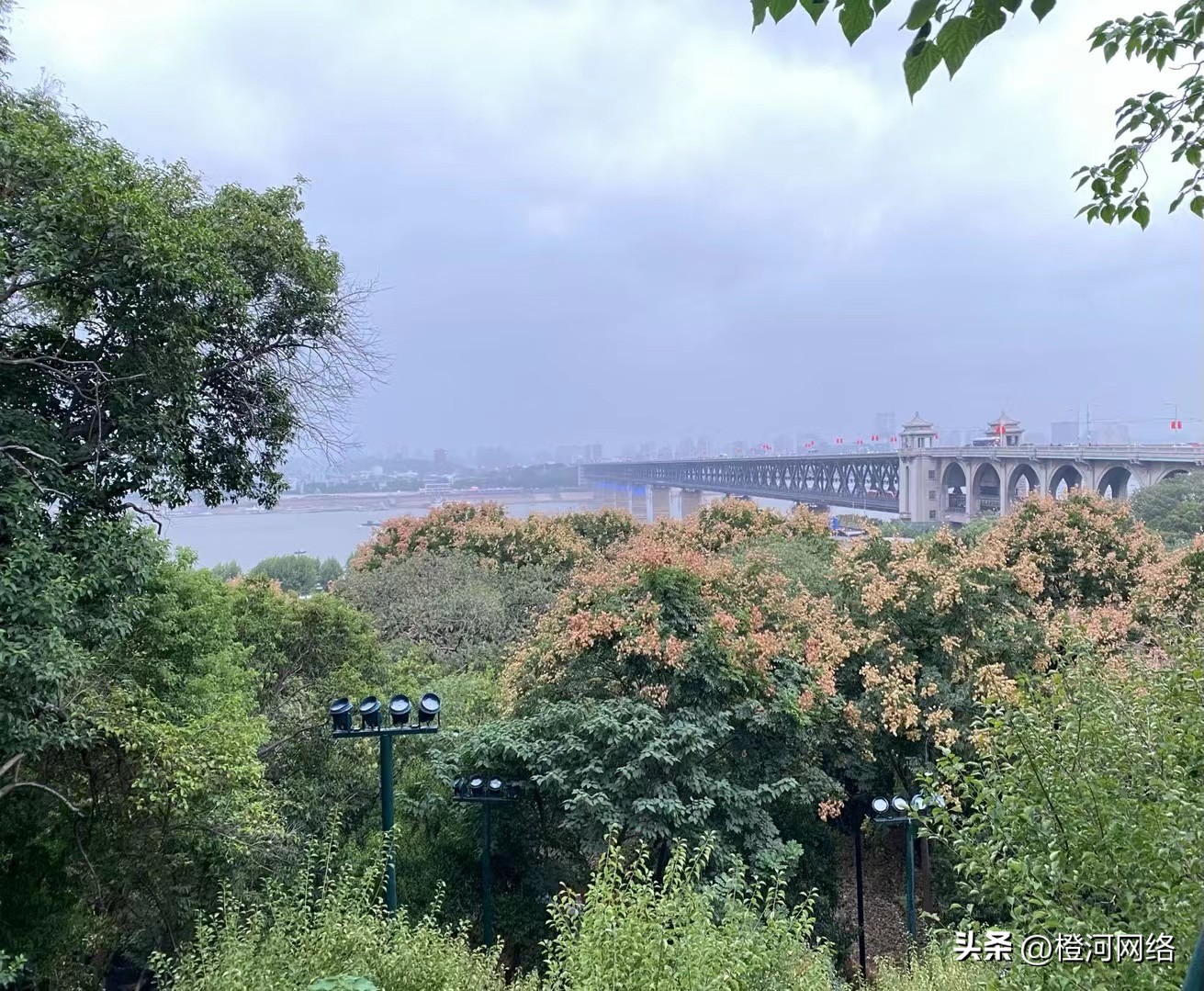 海外调查问卷找题技巧,海外问卷调查答题流程